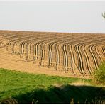 Der Bauer als Landschaftsmaler