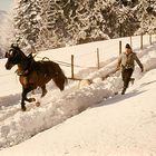 der bauer bei der arbeit