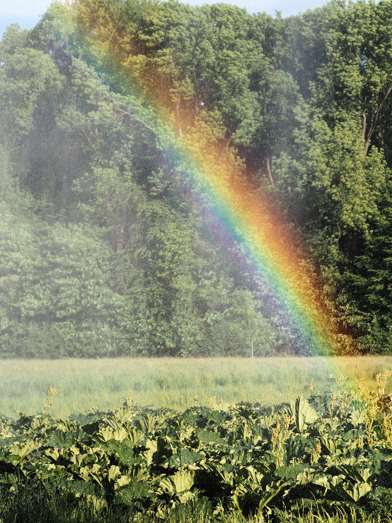 Der Bauer hat einen Regenbogen spendiert ...