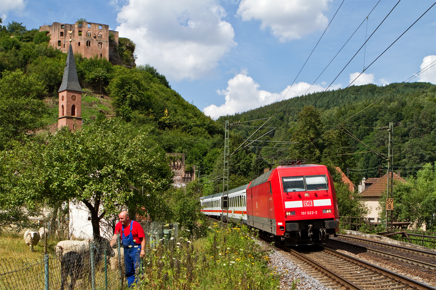 Der Bauer und das liebe Vieh