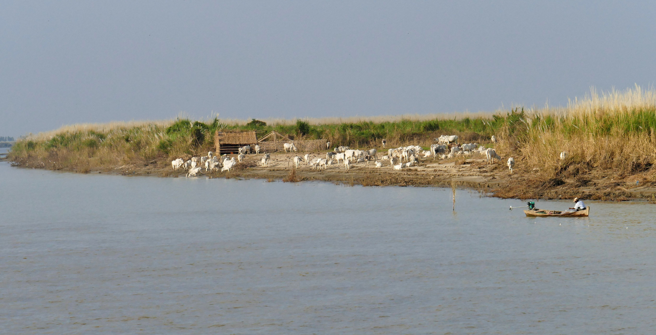 ...der Bauer vom Irrawaddy...