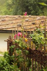 Der Bauerngarten