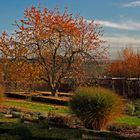 Der Bauerngarten am alten Kloster ...