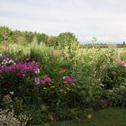 Der Bauerngarten bei der Einrichtung Auhof bei Hilpoltstein