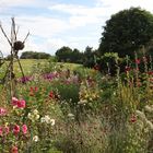 Der Bauerngarten bei der Einrichtung Auhof bei Hilpoltstein