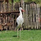 Der Bauernhof "Storch"