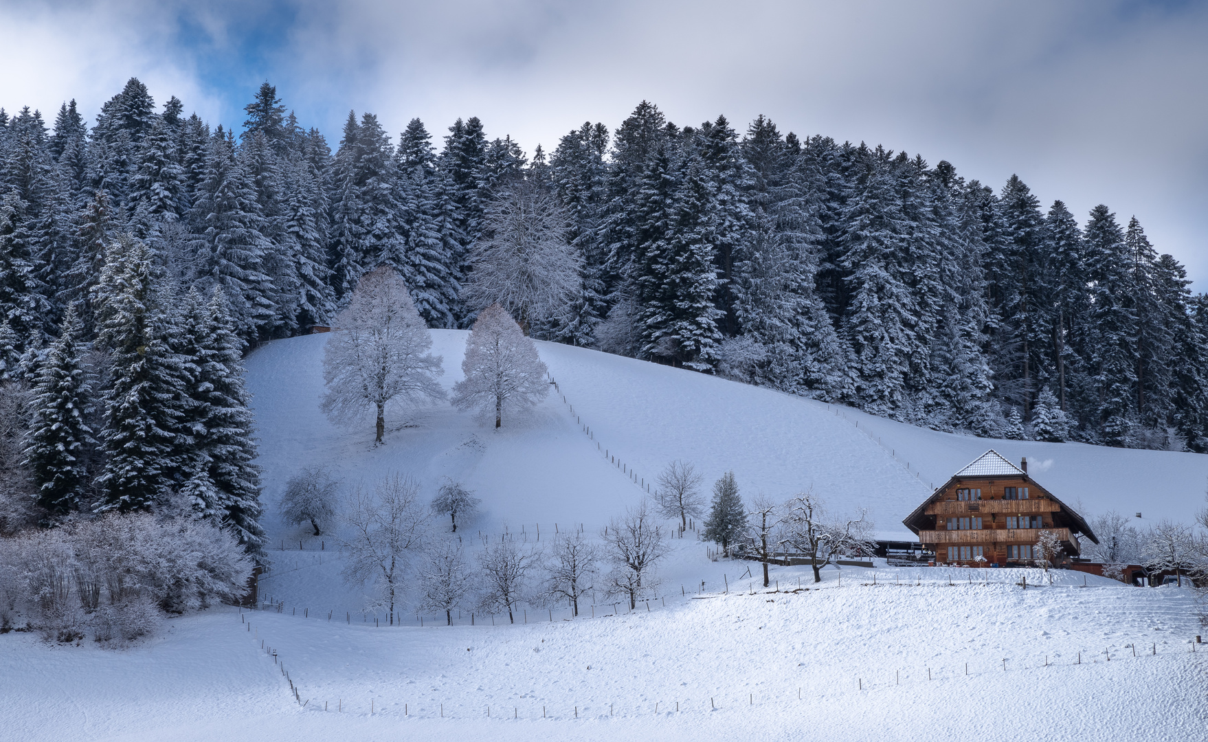 Der Bauernhof und die Bäume