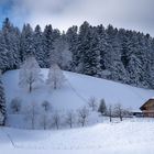 Der Bauernhof und die Bäume