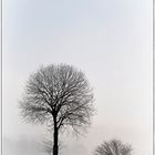 der Baum