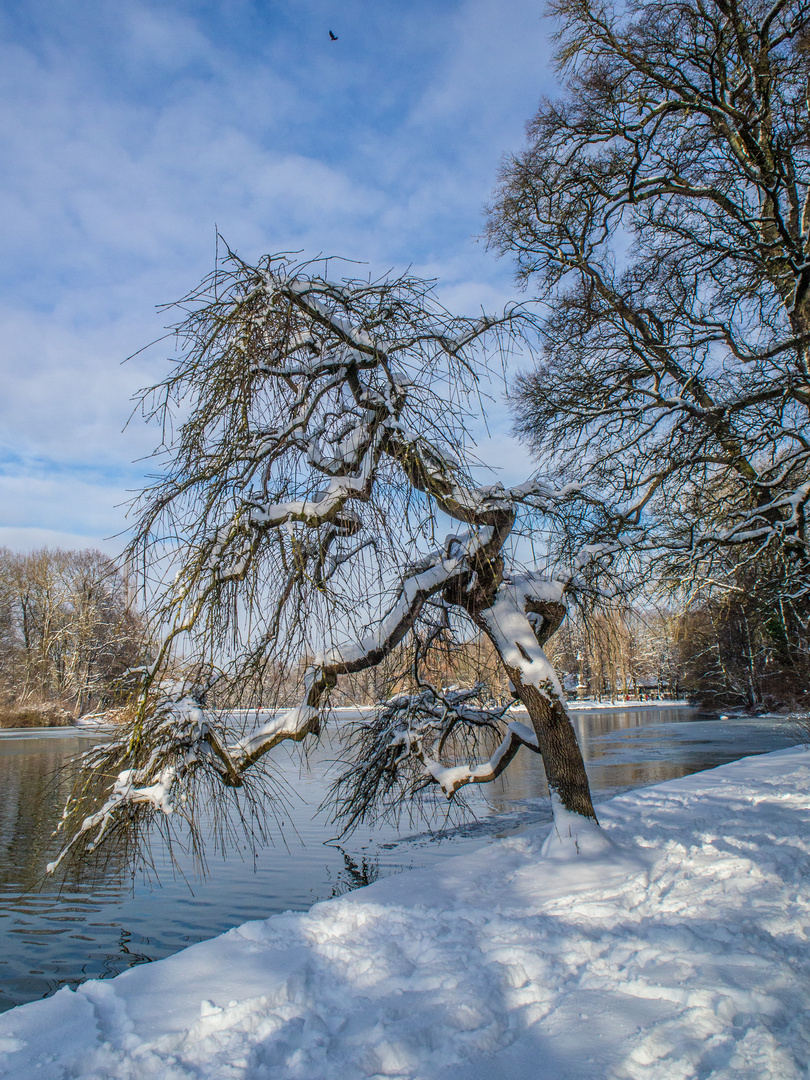 Der Baum #2