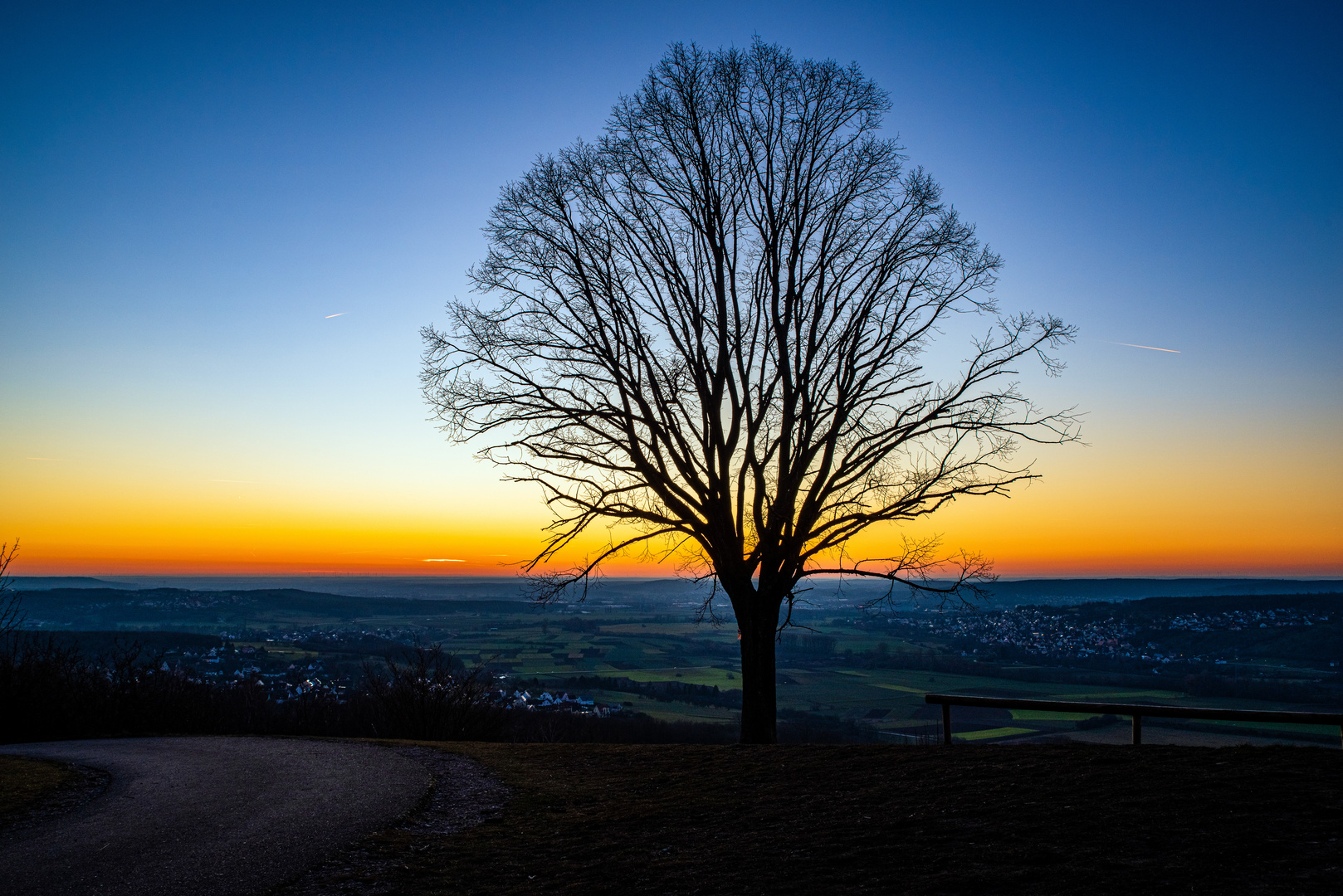 Der Baum