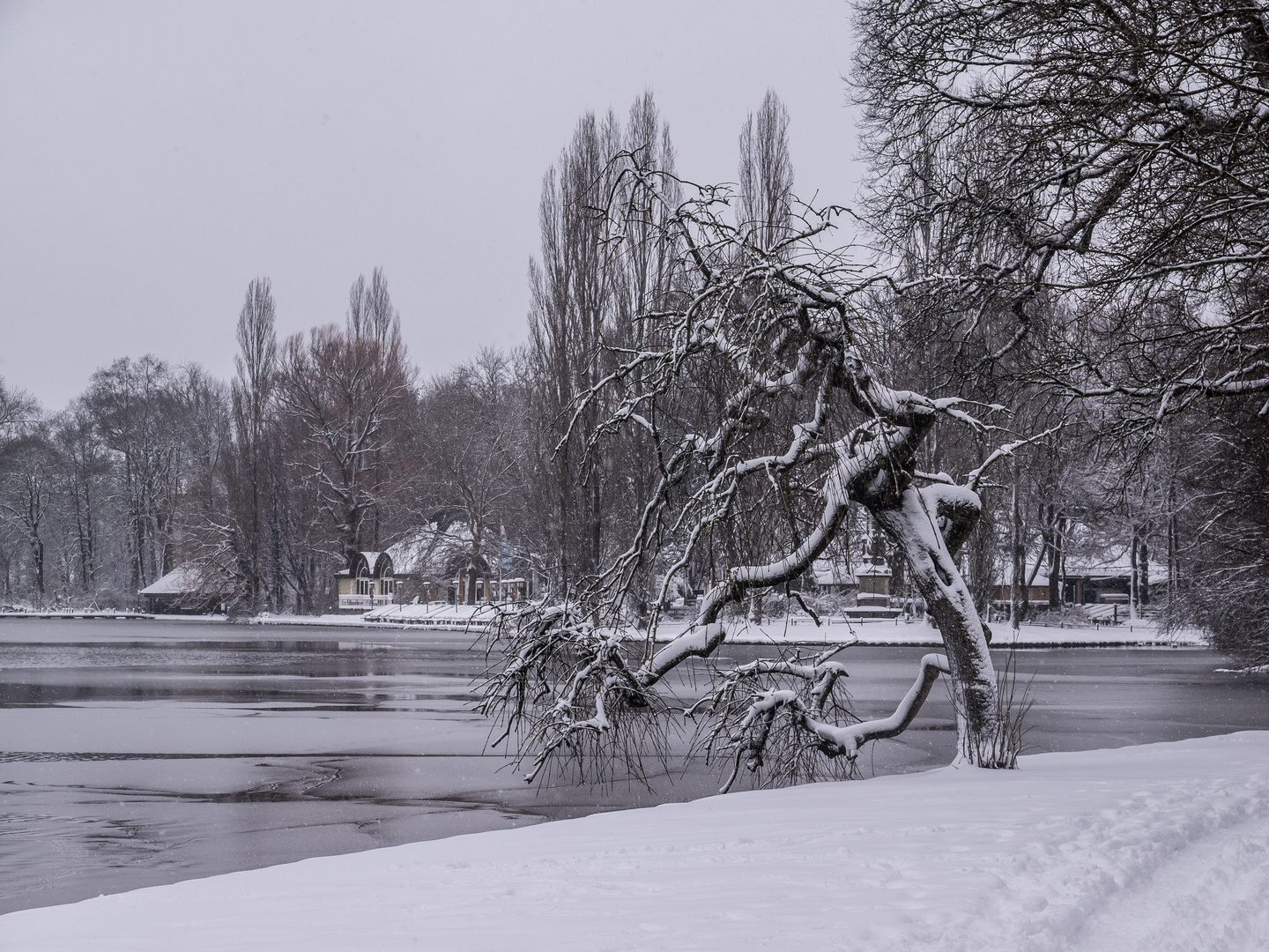 Der Baum #3