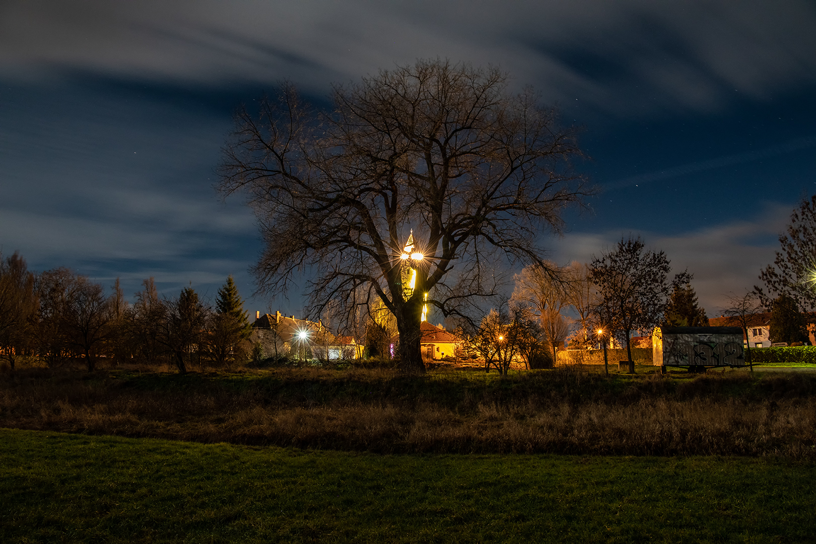 Der Baum...