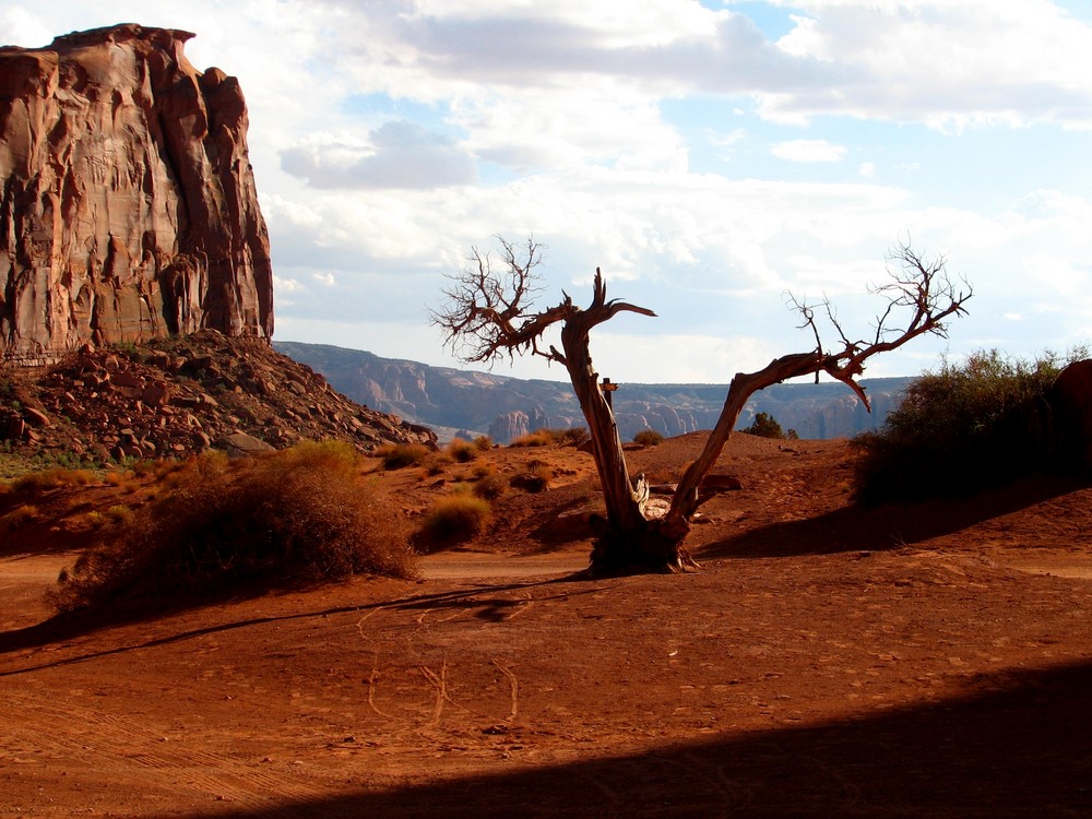 Der Baum...