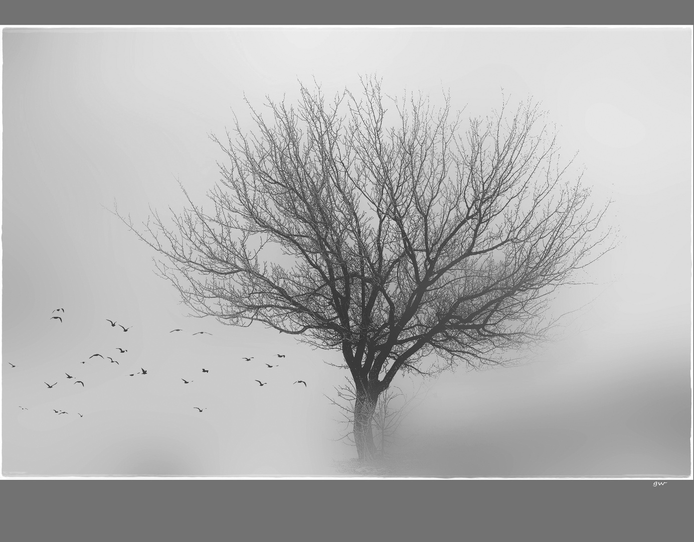 - der baum + -