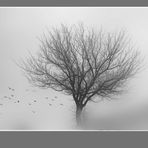 - der baum + -