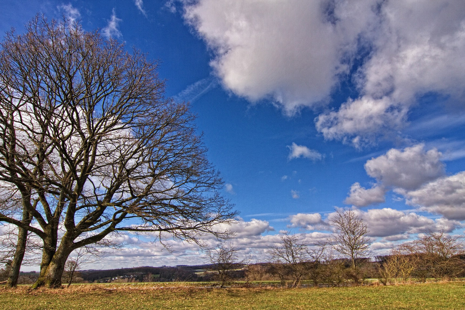 Der Baum Foto & Bild deutschland, europe, nordrhein westfalen Bilder