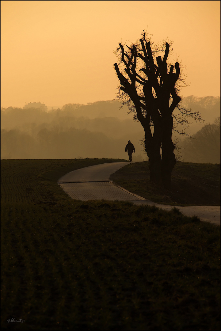 Der Baum