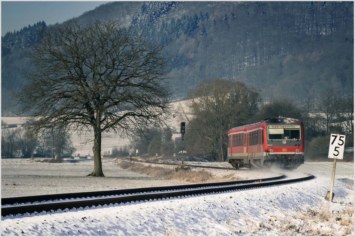 Der Baum