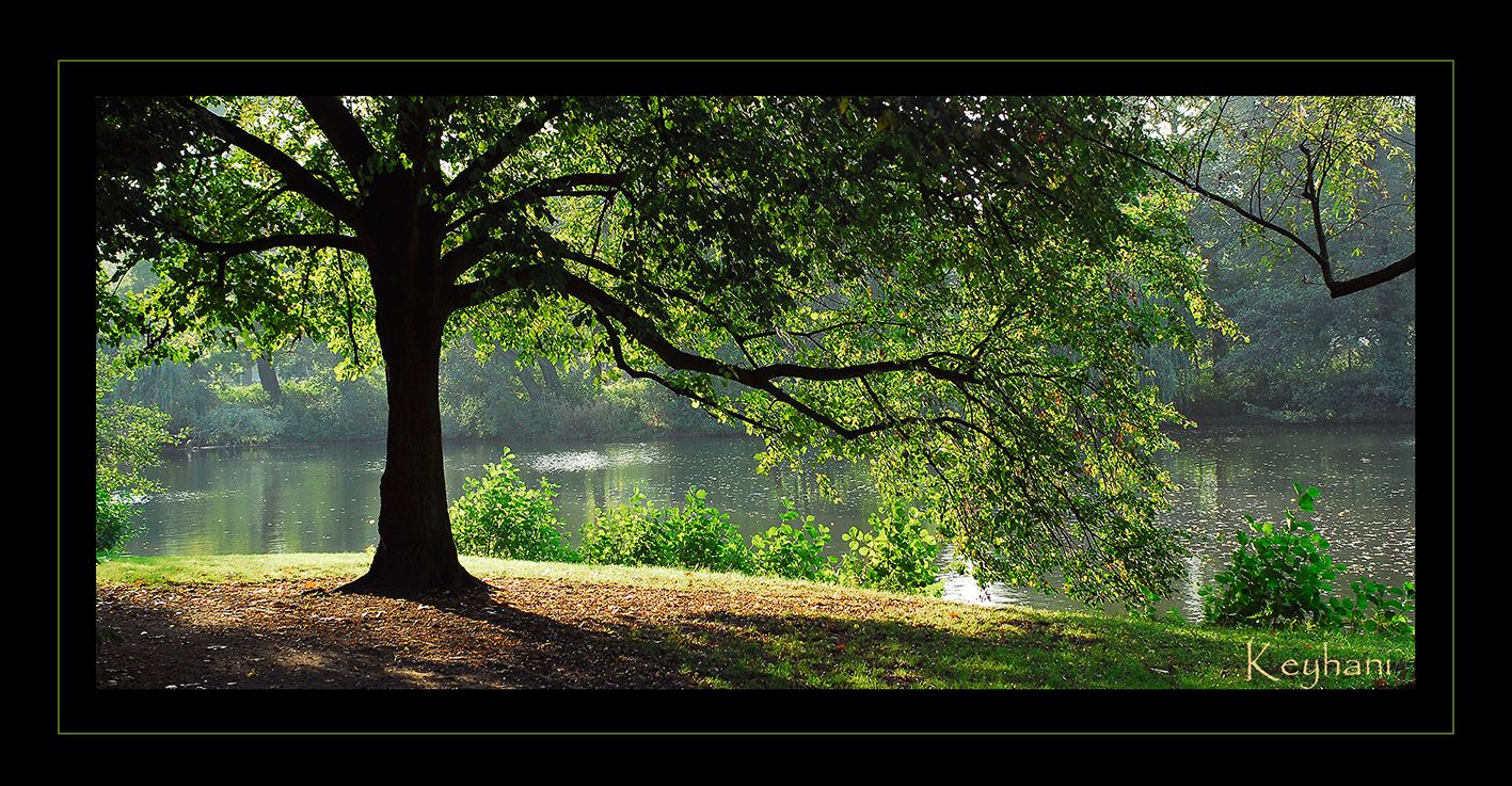 Der Baum