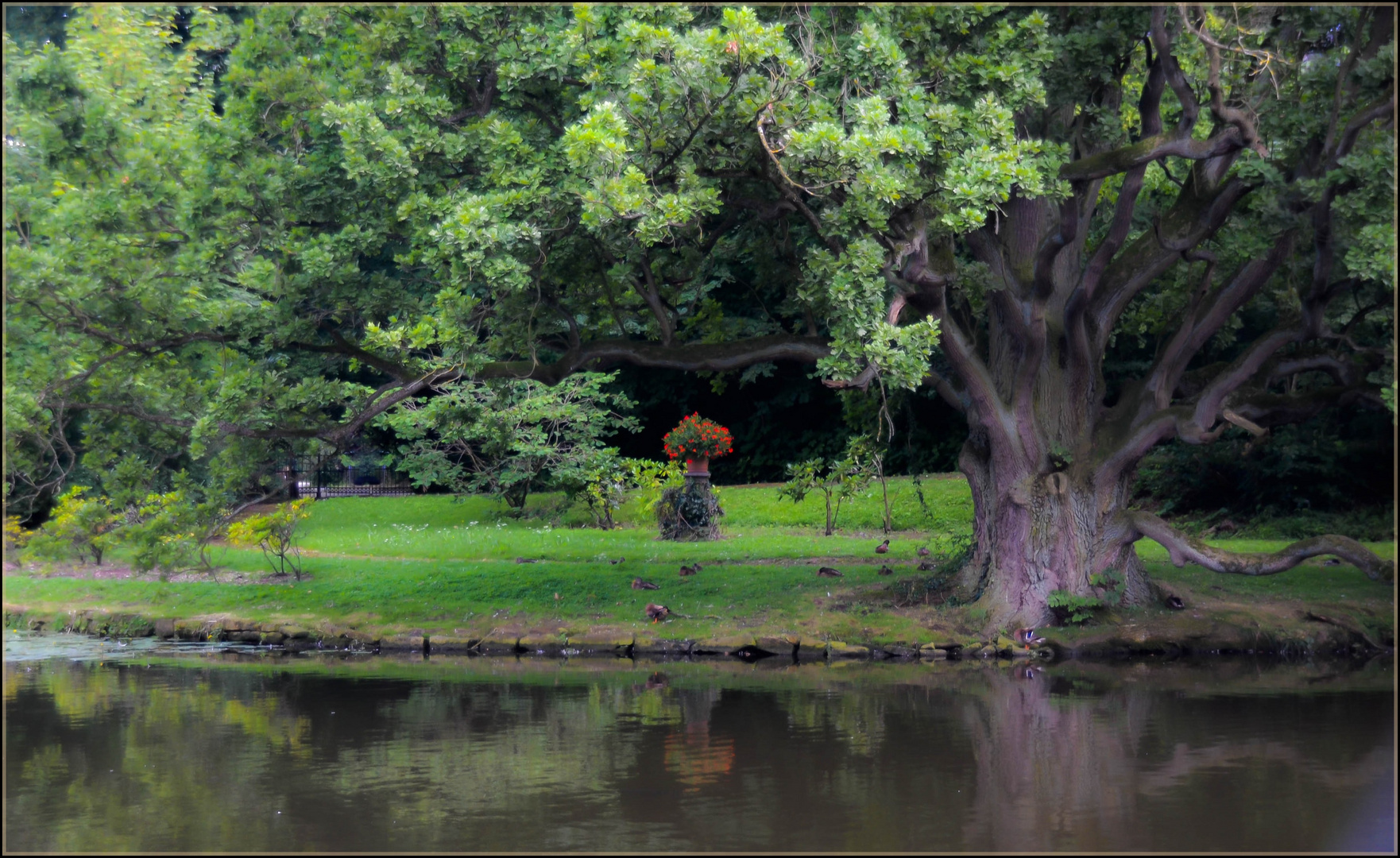 Der Baum ...