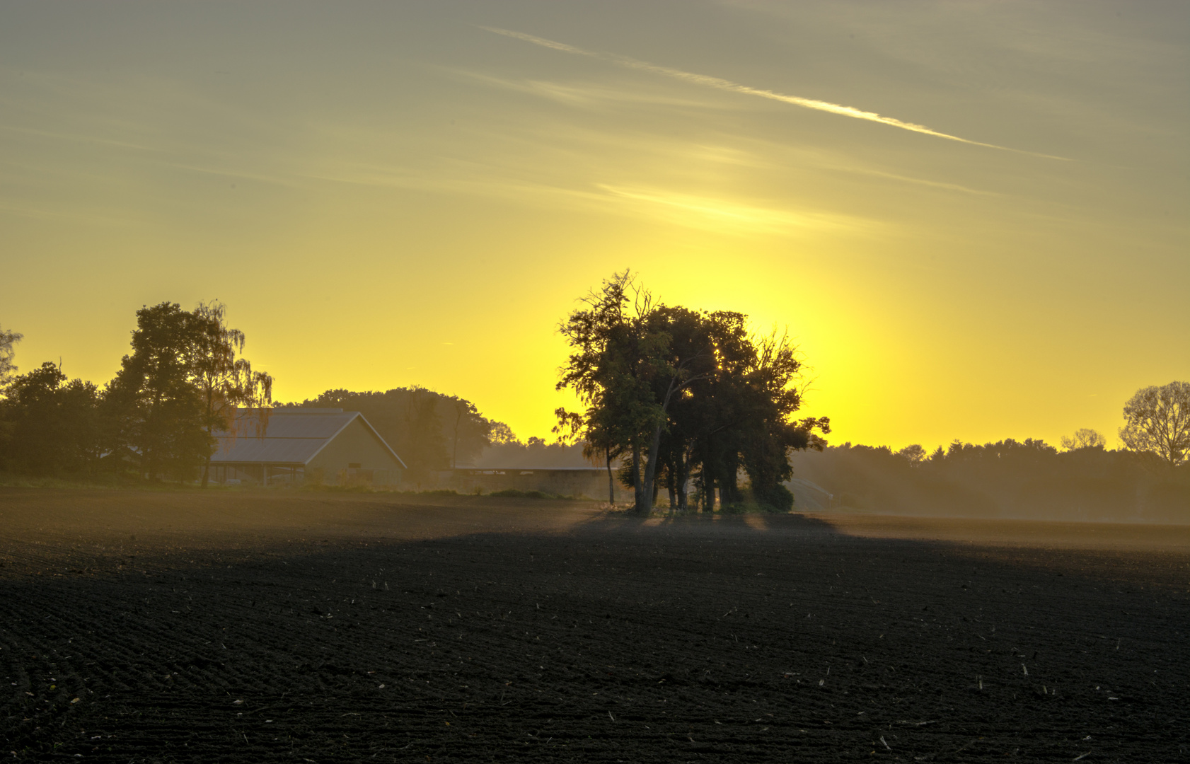Der Baum am Abend Foto & Bild naturereignisse, die elemente