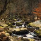 Der Baum am Bach