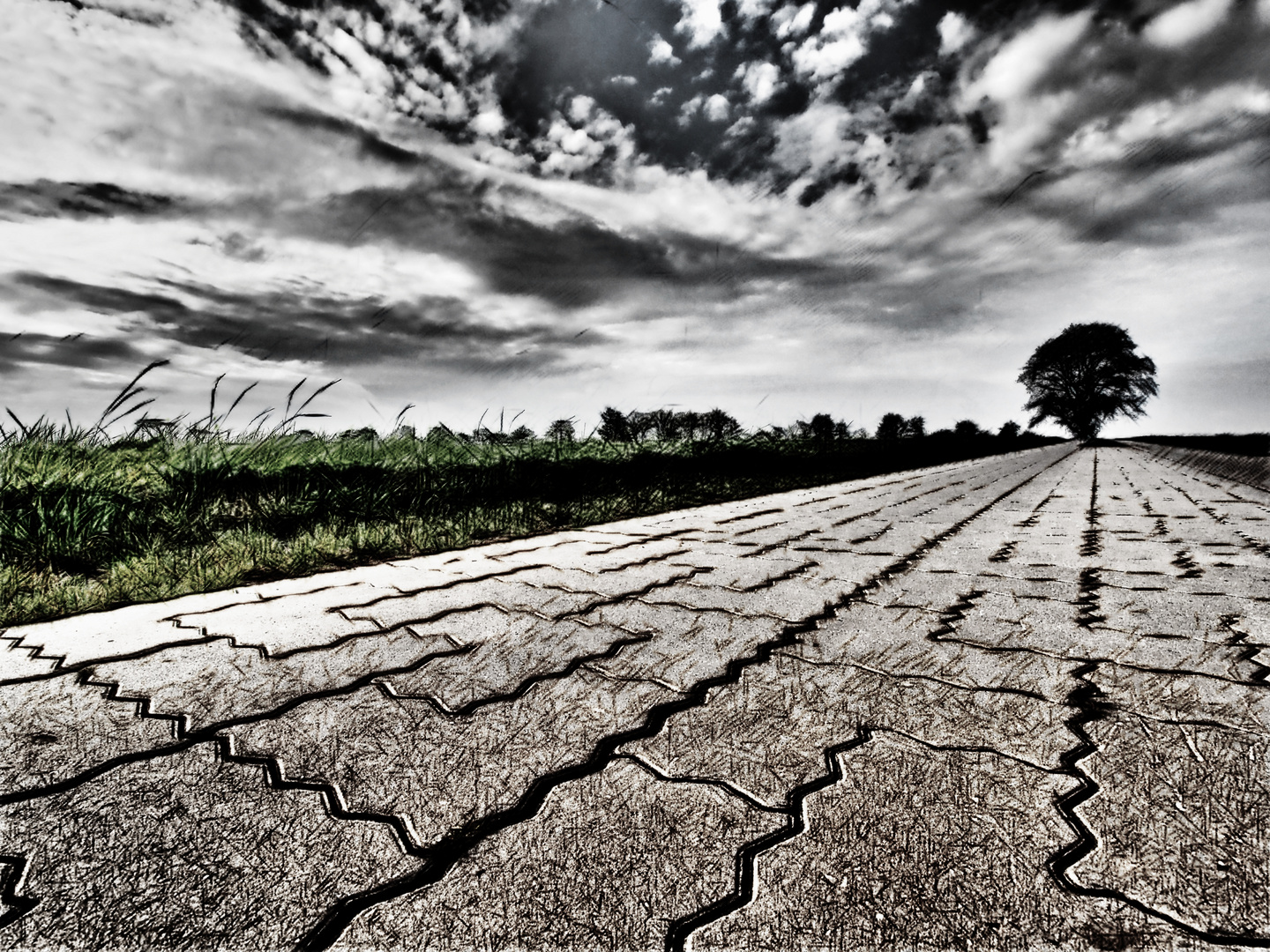 der baum am ende der strasse ...