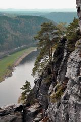 der Baum am Felsen