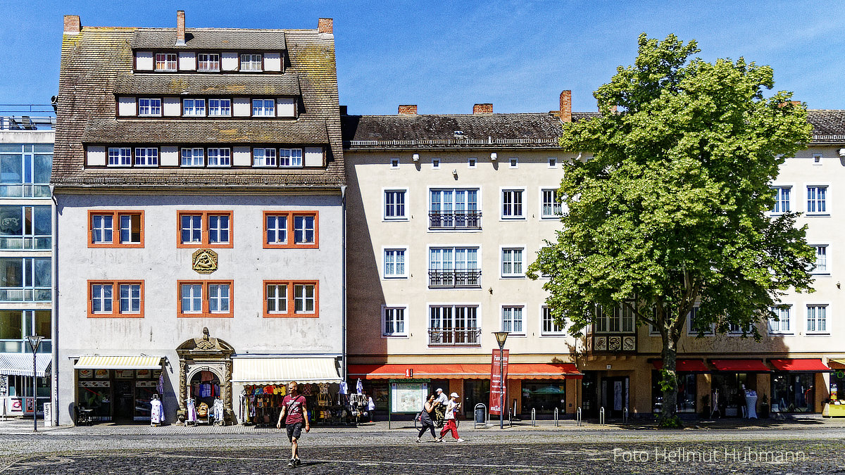 DER BAUM AM MARKTPLATZ