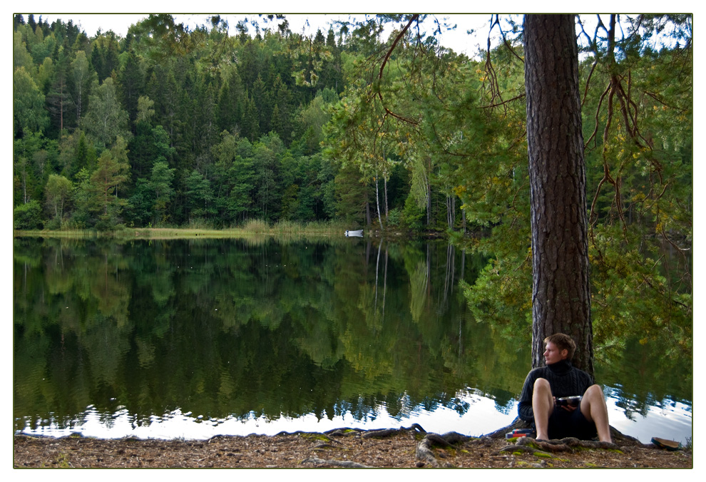 Der Baum am See..