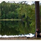 Der Baum am See..