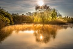 Der Baum am See