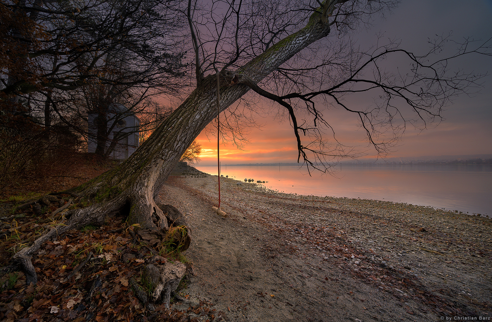 der Baum am See Foto Bild world wasser baum Bilder der Baum am See Foto Bild world wasser baum Bilder