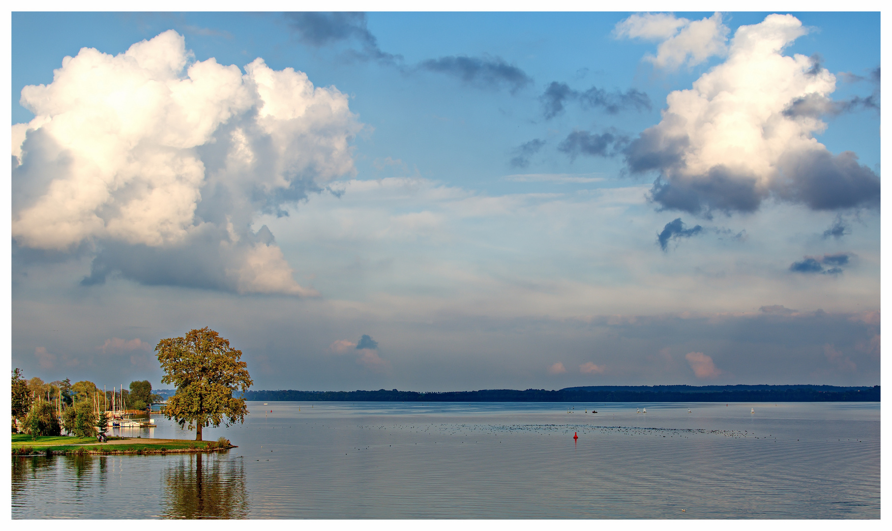 "Der Baum am See"