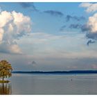 "Der Baum am See"