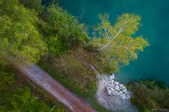 Der Baum am Ufer