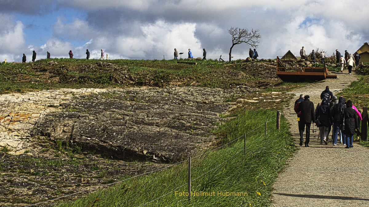 DER BAUM AM WEGE #2