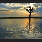 Der Baum an der U-Bein Bridge