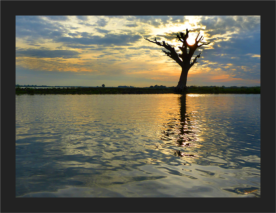 Der Baum an der U-Bein Bridge