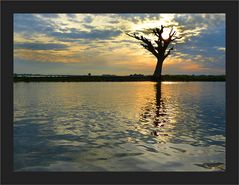 Der Baum an der U-Bein Bridge