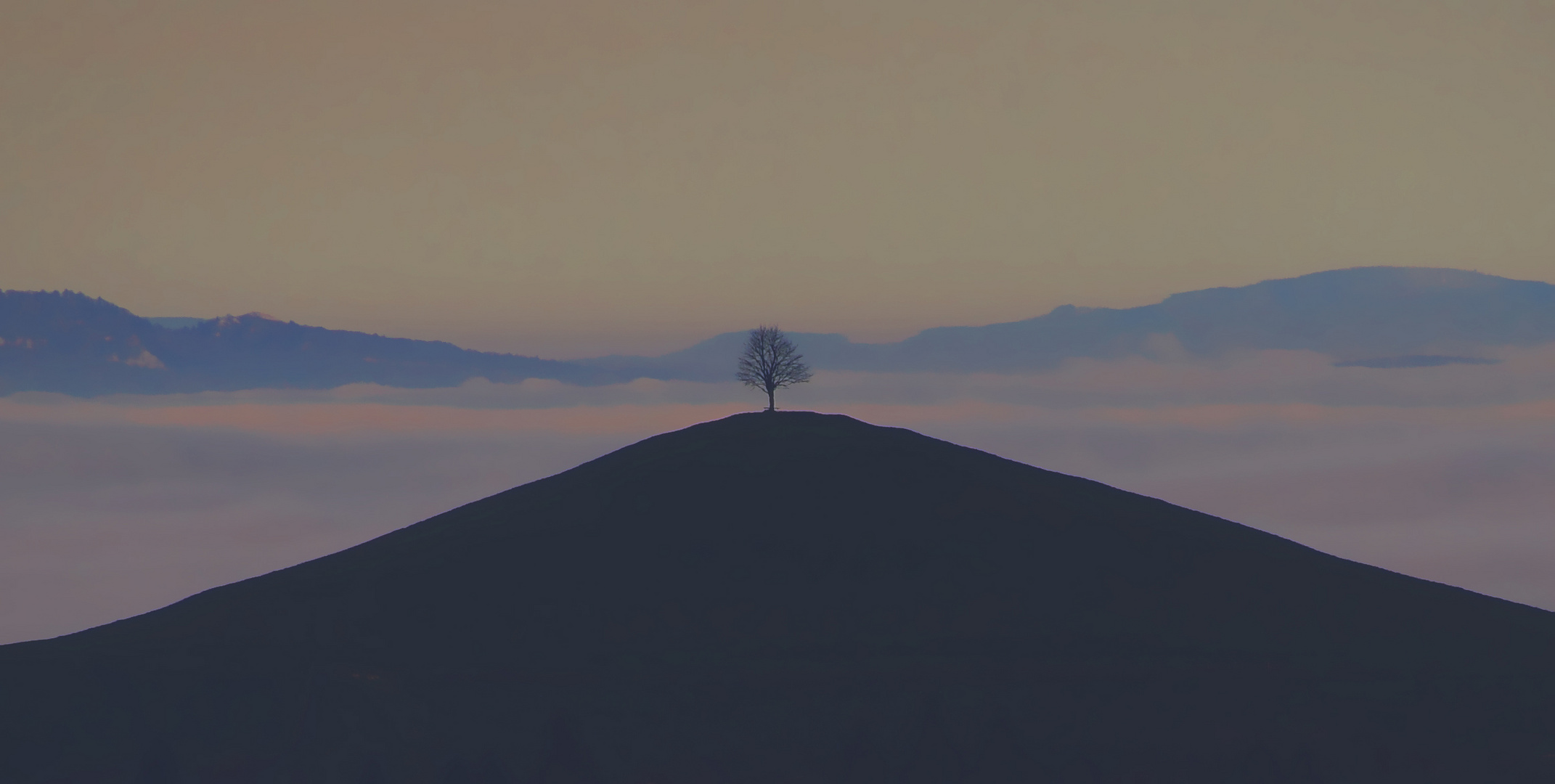 Der Baum auf dem Hügel.