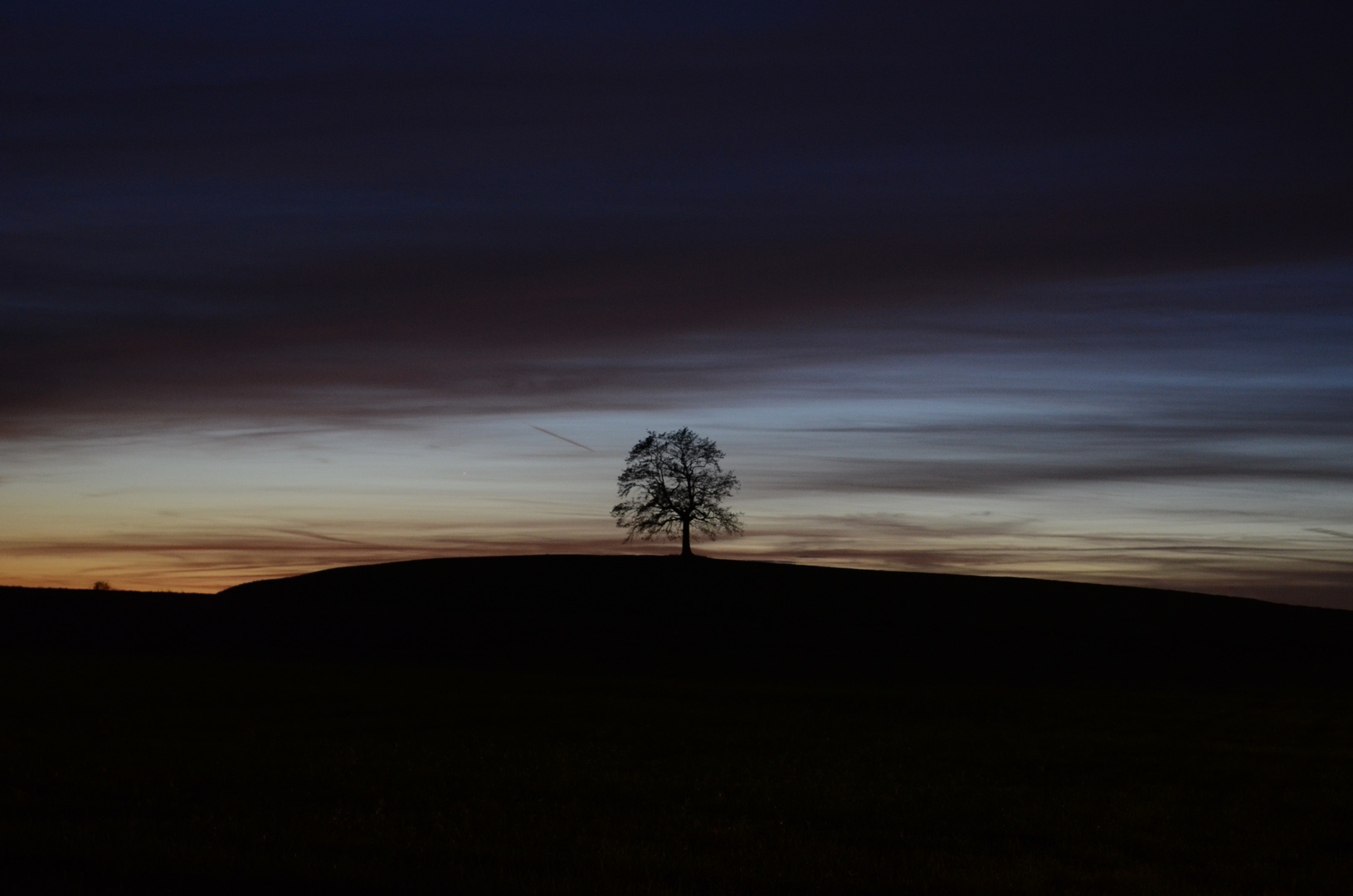 Der Baum