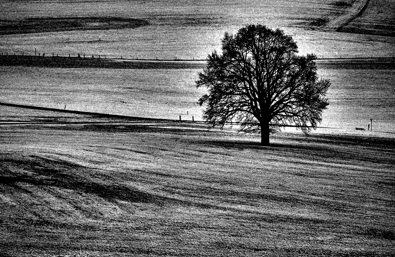 Der Baum Foto & Bild abstraktes, landschaft, street Bilder auf