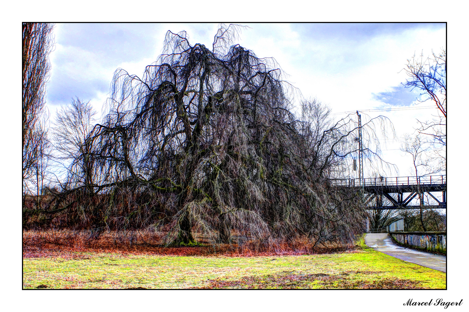 Der Baum