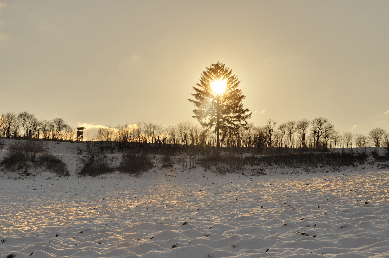 Der Baum brennt 