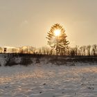 Der Baum brennt 