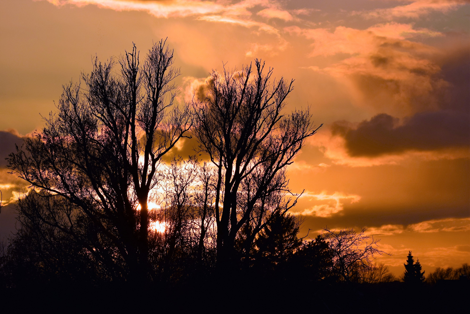 Der Baum brennt