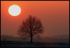 Der Baum brennt