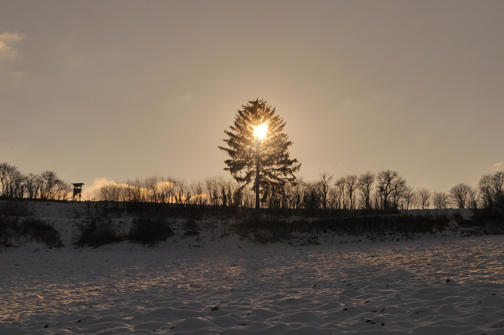 Der Baum brennt - Lowkey